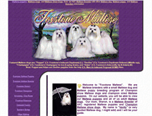 Tablet Screenshot of foxstonemaltese.com